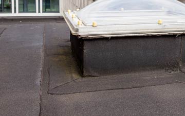 disadvantages of Ospisdale flat roofs